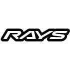 RAYS logo