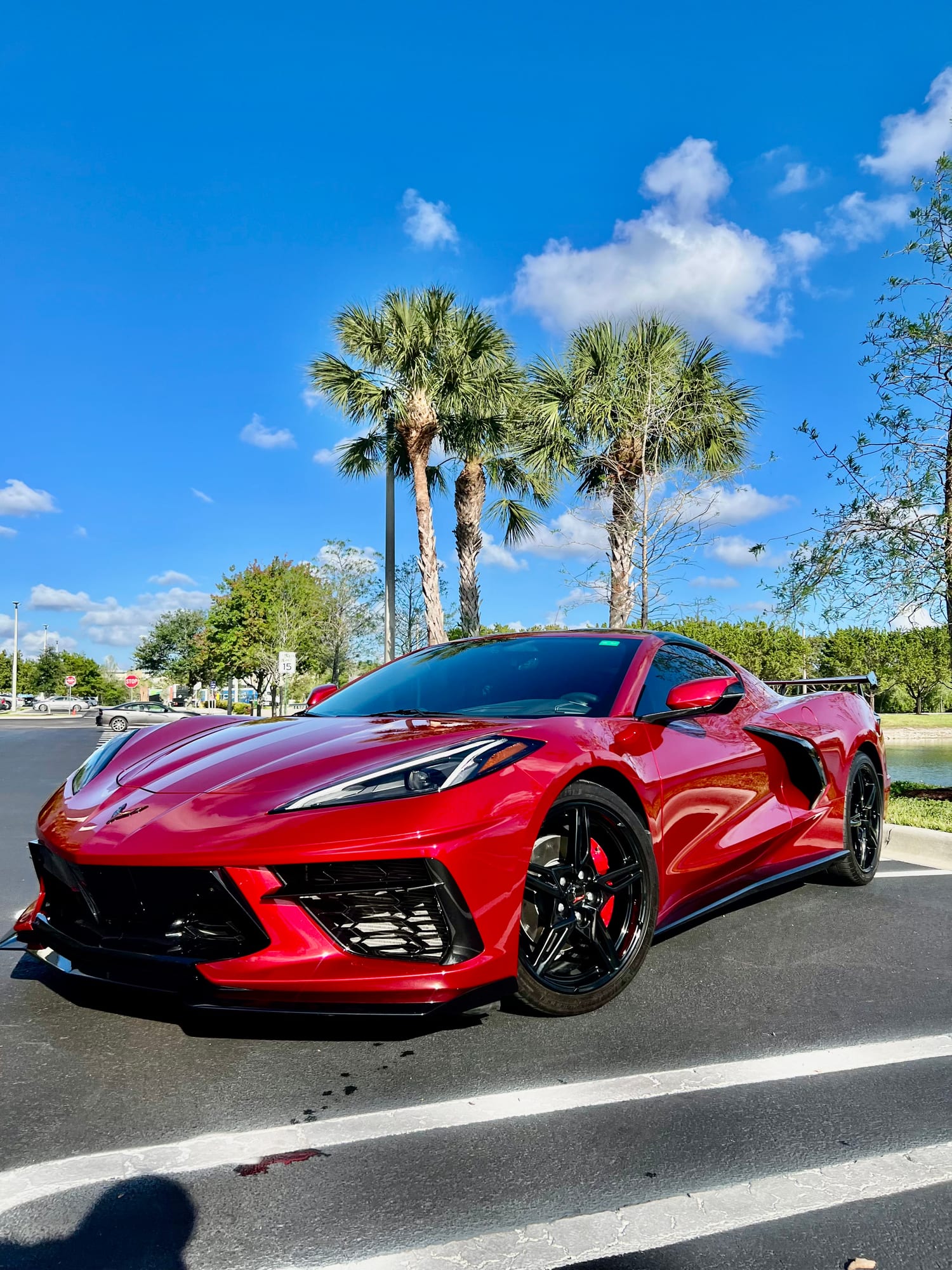 Red Chevrolet Corvette C8 Stingray with high wing and black wheels photographed under palm trees by Velocity Factor