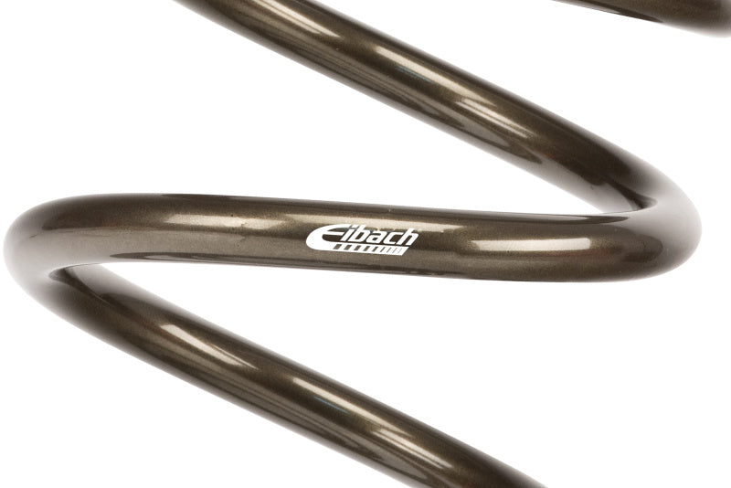 Eibach ERS 14in L x 3.50in OD Platinum Rear Spring - 100 lbs/in