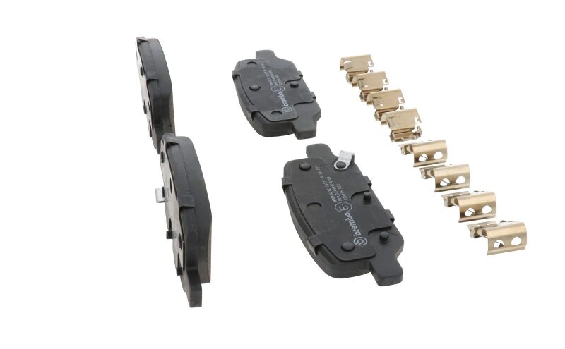 Photo - Close Up