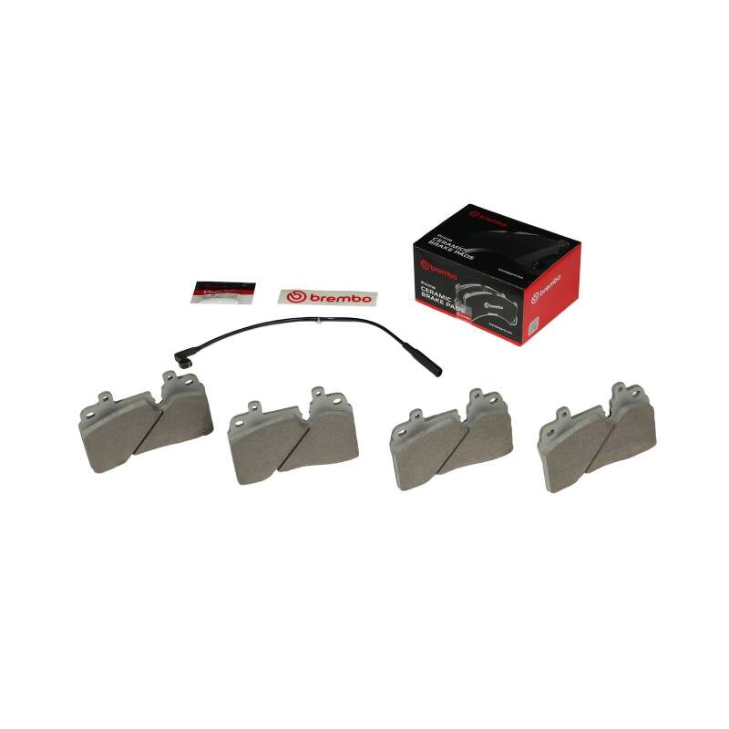 Photo - Close Up