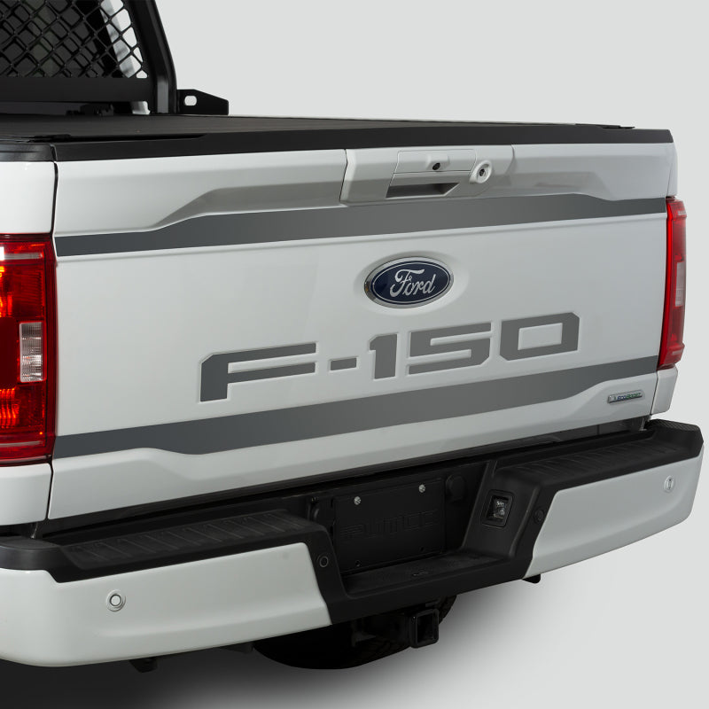 Putco 2021 Ford F-150 Ford Lettering (Cut Letters/Stainless Steel) Tailgate Emblems