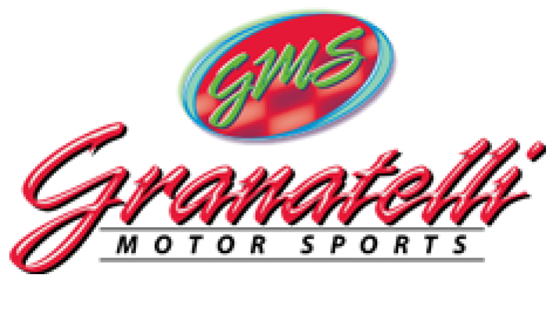Granatelli Buck Century 6Cyl 3.8L MPG Plus Ignition Wires