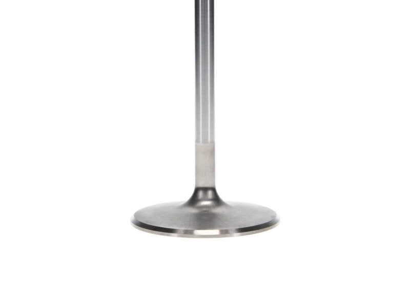 Manley Chevrolet Big Block Intake Valve Kit - 2.300in Head Dia. 5.244in O/A Length, 0.3110in Stem