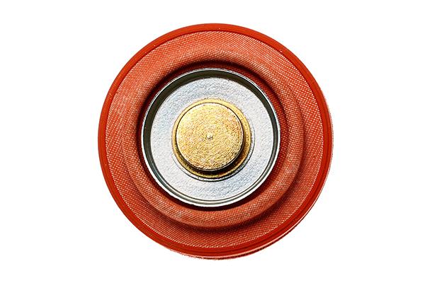 Radium Engineering FPR Spring- Wide Range (Use with Radium MPR, DMR, and FST-R)