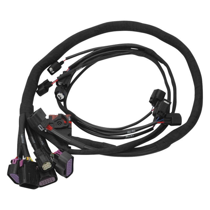 Edelbrock Chevy Gen III/IV LS Pro-Flo 4+ EFI Engine Management System