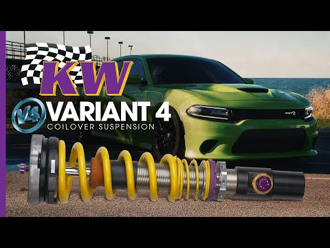 User 6