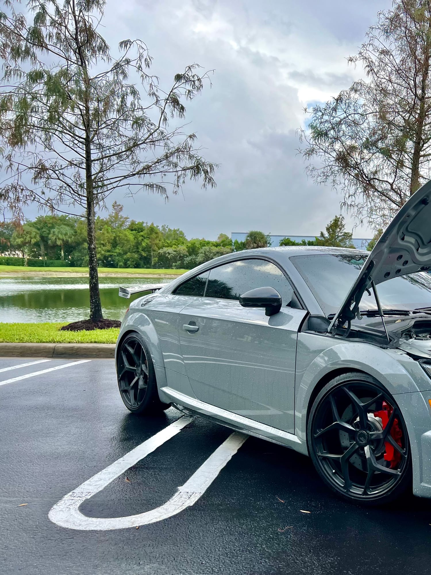 Gray Audi TT RS with hood open parked lakeside at Velocity Factor, the same 2.5 TFSI five-cylinder engine as the RS3