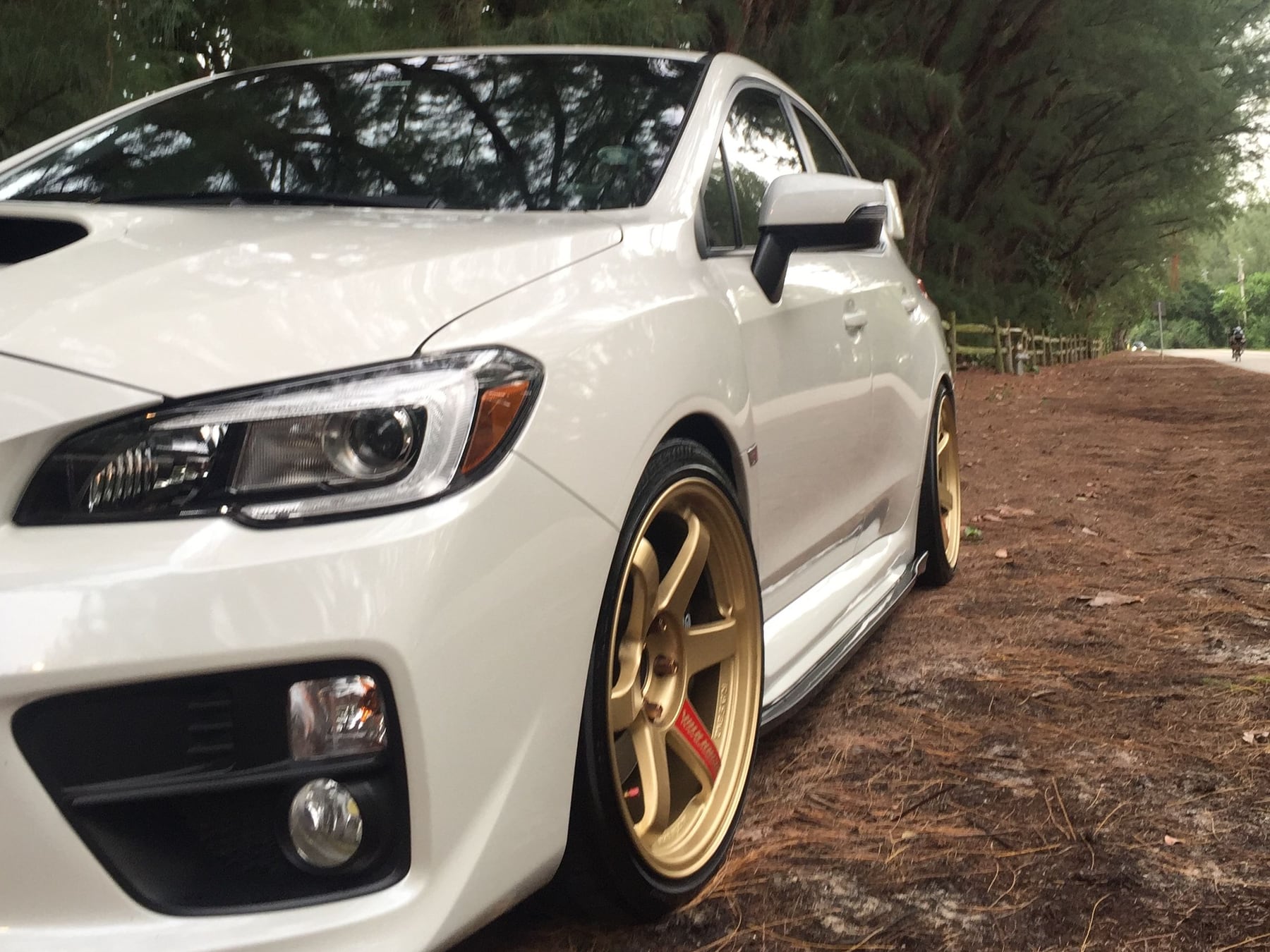 White Subaru WRX on gold RAYS TE37 wheels photographed on a tree-lined trail by Velocity Factor